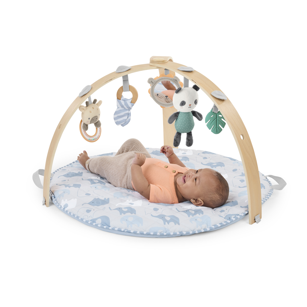 INGENUITY Deka na hranie obojstranná Elephant March™ 0m+